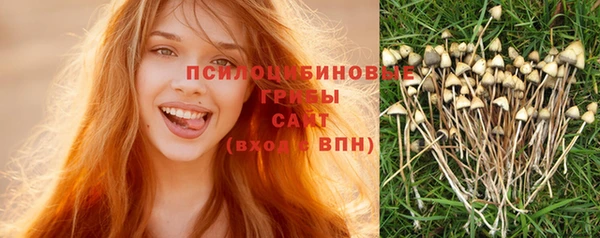 альфа пвп Заволжье